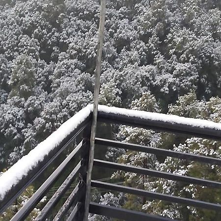 Solitude Inn Bnb 심라 외부 사진