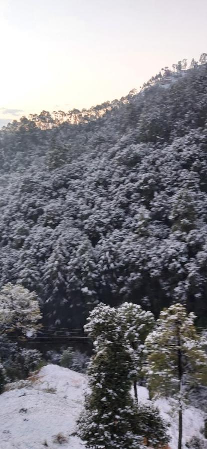 Solitude Inn Bnb 심라 외부 사진